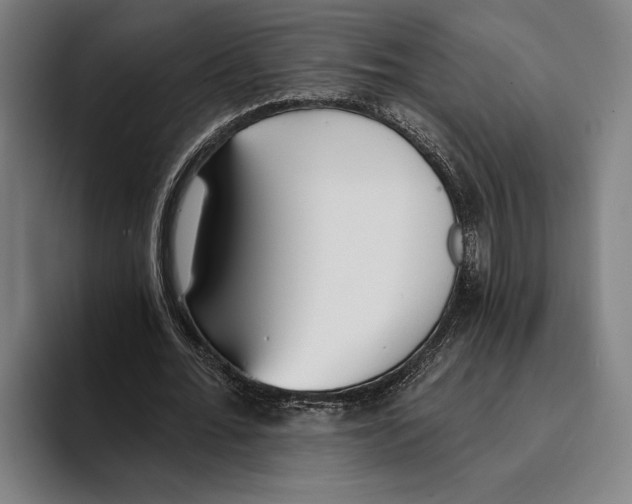 X0000093380676200711081545