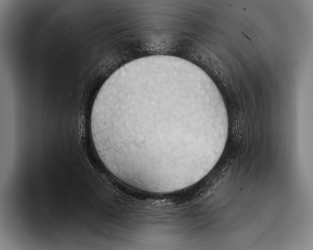 X0000093380689200711081545