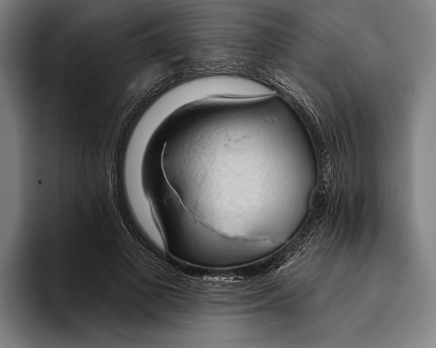 X0000093380693200711081545