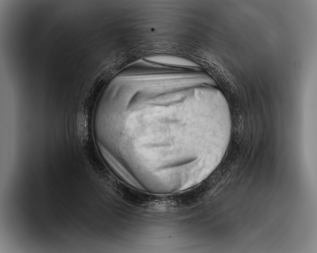 X0000093380696200711081545