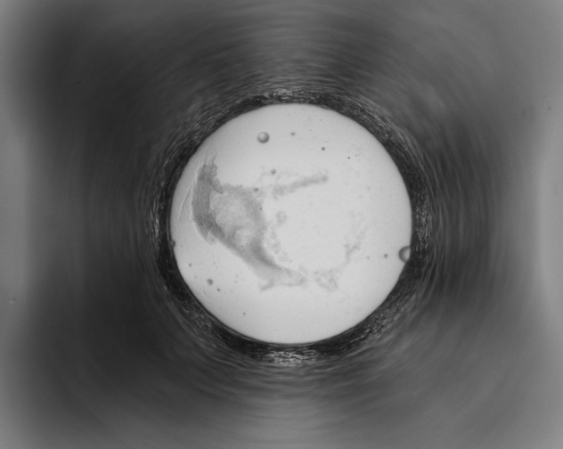 X0000093380703200711081545