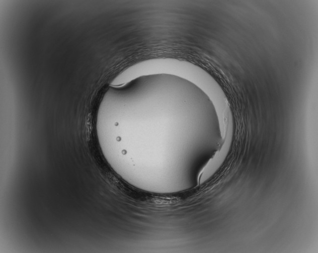 X0000093380707200711081545