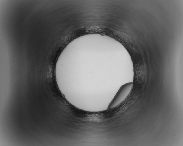 X0000093380708200711081545