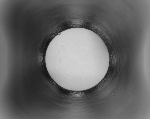 X0000093380711200711081545