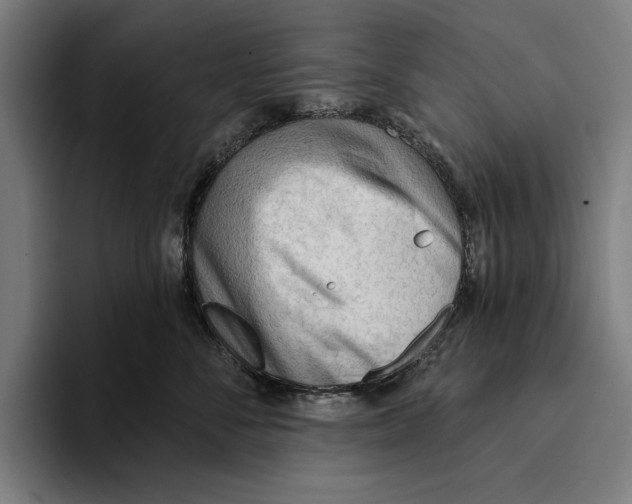 X0000093380716200711081545