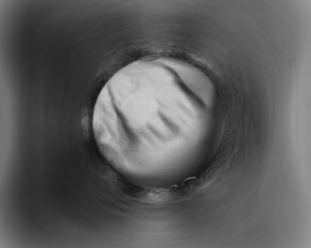 X0000093380720200711081545