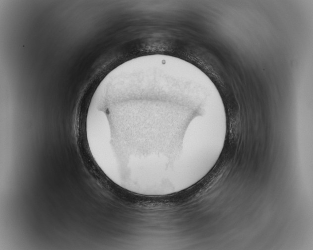 X0000093380722200711081544