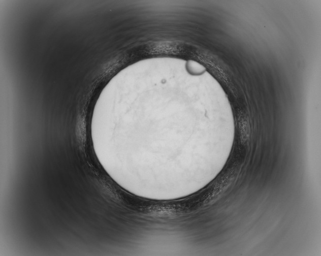 X0000093380729200711081544