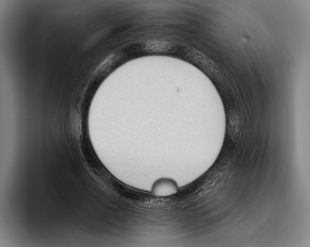 X0000093380734200711081544