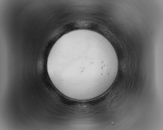 X0000093380735200711081544