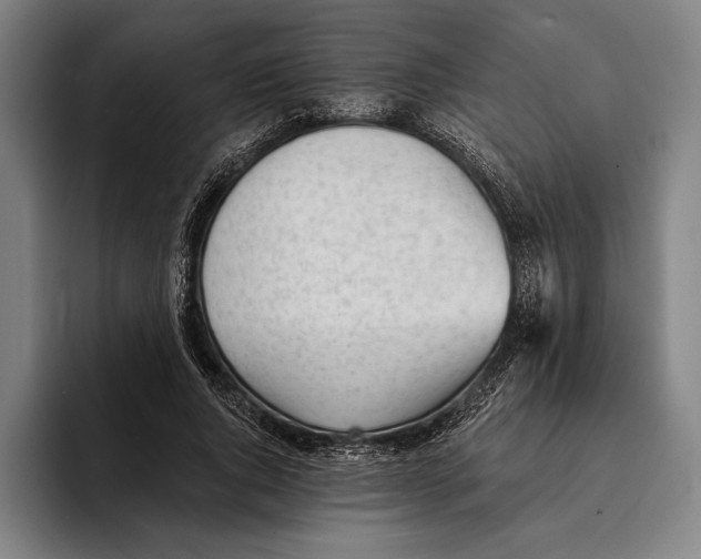 X0000093380736200711081544