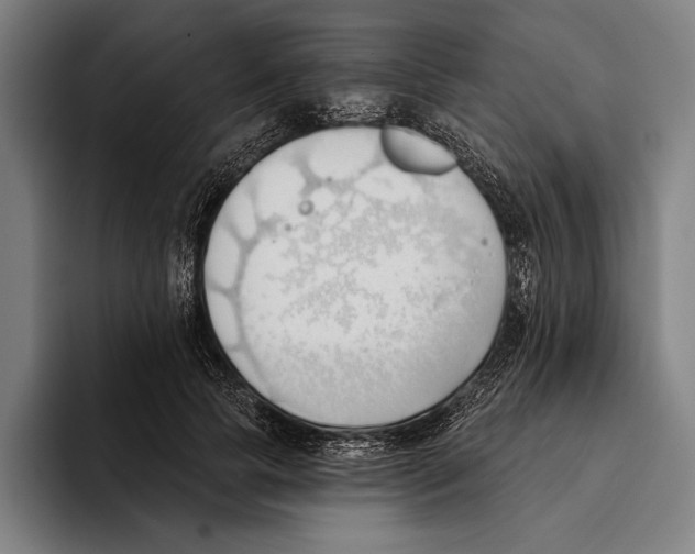 X0000093380745200711081544