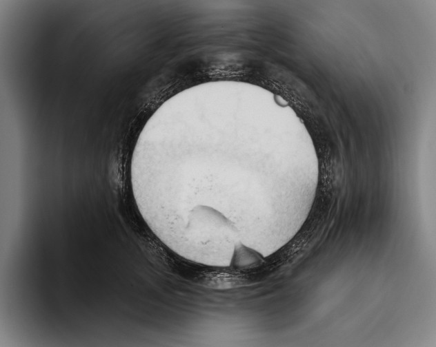 X0000093380755200711081545