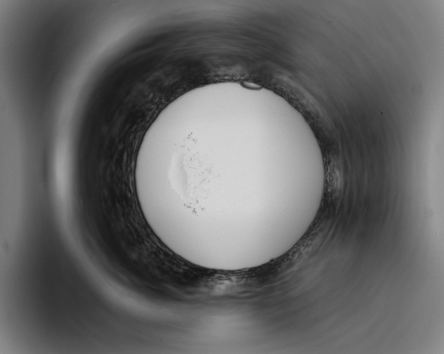 X0000093380764200711081545