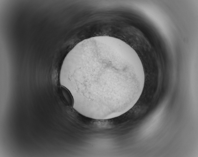 X0000093380767200711081545