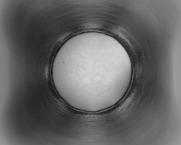 X0000093380777200711081544