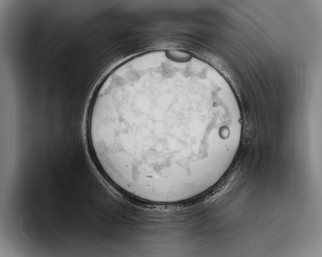 X0000093380803200711081544