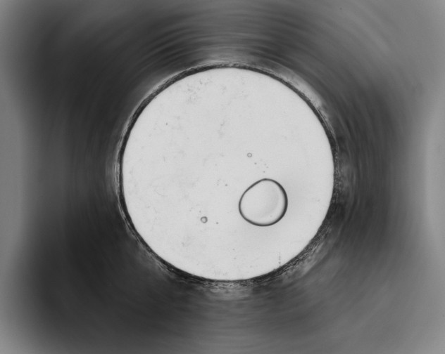 X0000093380807200711081544