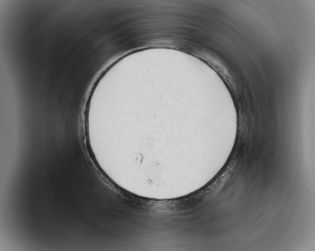 X0000093380808200711081544