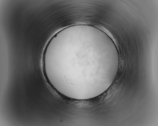 X0000093380811200711081544