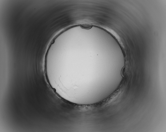 X0000093380815200711081543