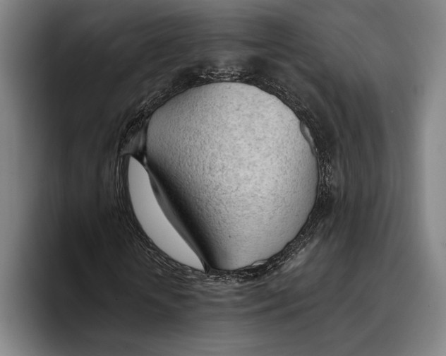 X0000093380818200711081543