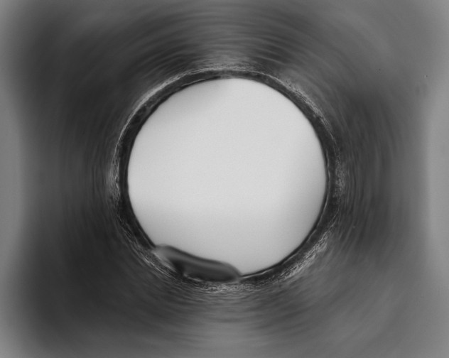 X0000093380830200711081543