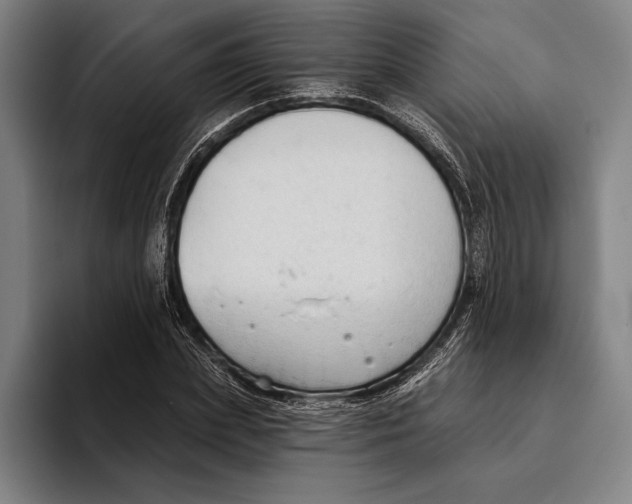 X0000093380831200711081543