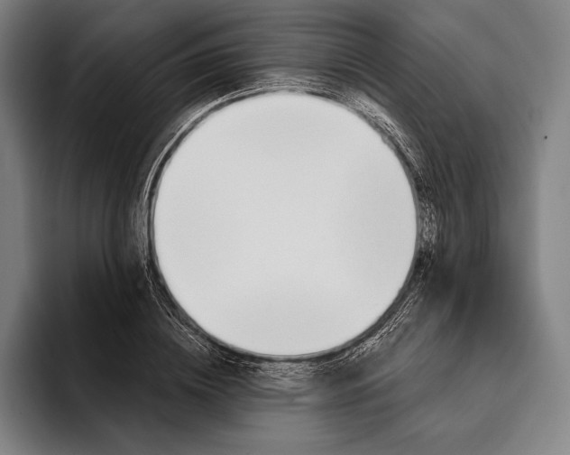 X0000093380836200711081543