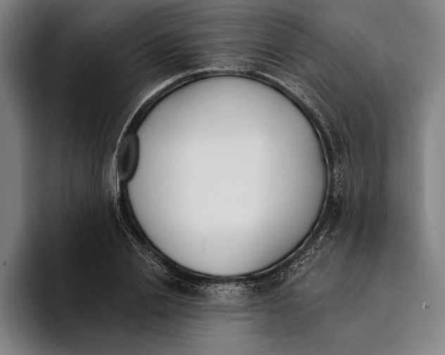 X0000093380838200711081543