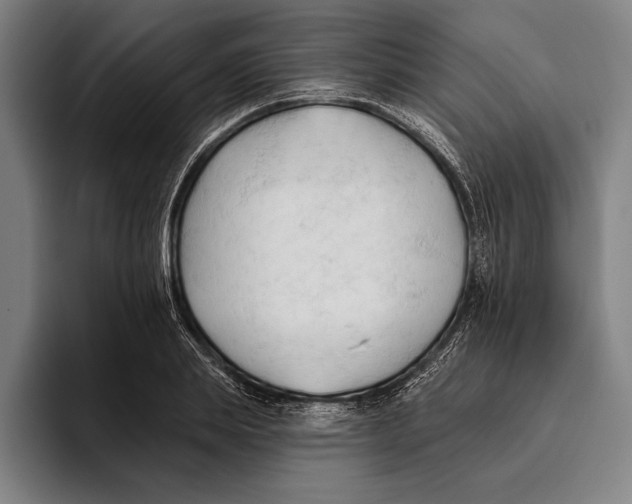 X0000093380839200711081543