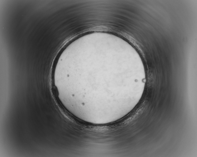 X0000093380845200711081543