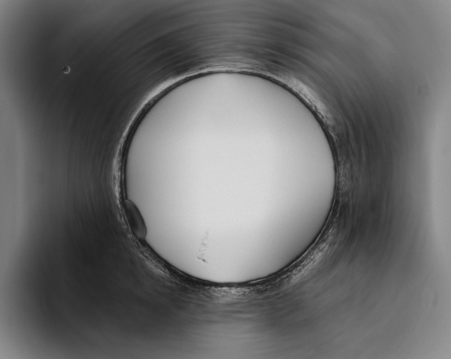 X0000093380854200711081543