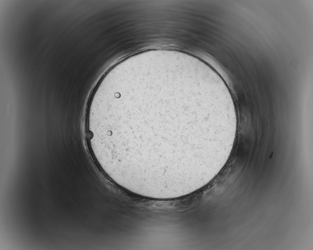 X0000093380861200711081543