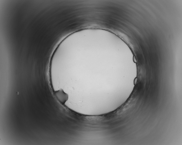 X0000093380863200711081543