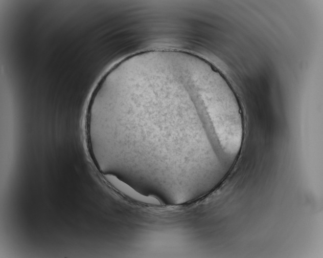 X0000093380864200711081543