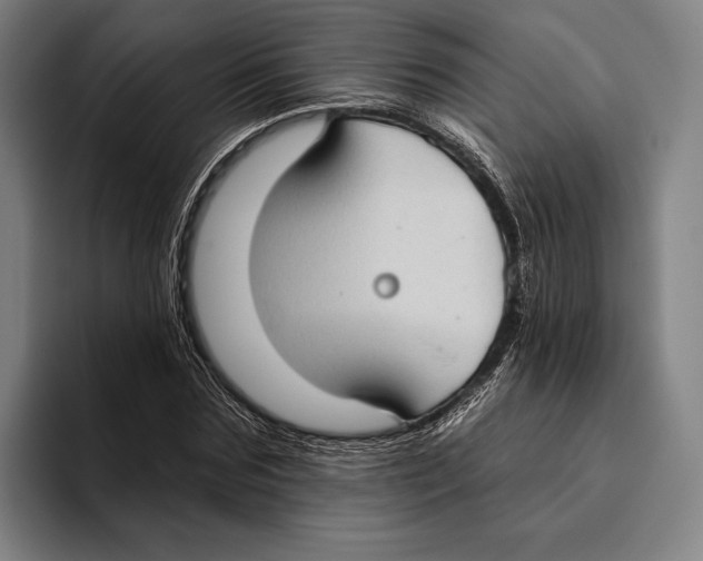 X0000093380875200711081543