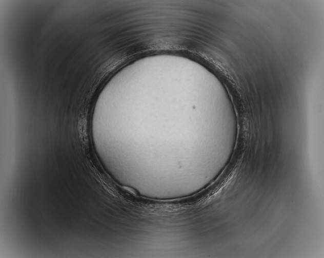 X0000093380881200711081543