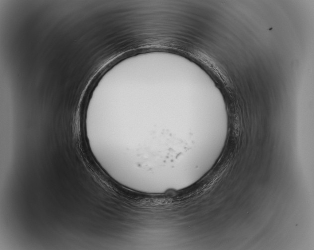 X0000093380884200711081543