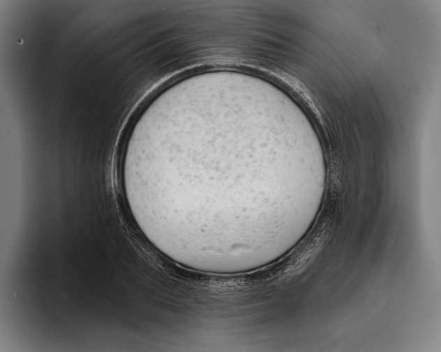 X0000093380887200711081543