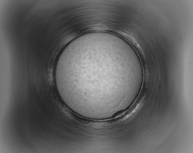 X0000093380889200711081543