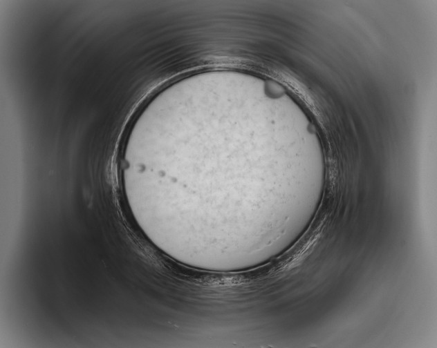 X0000093380891200711081542