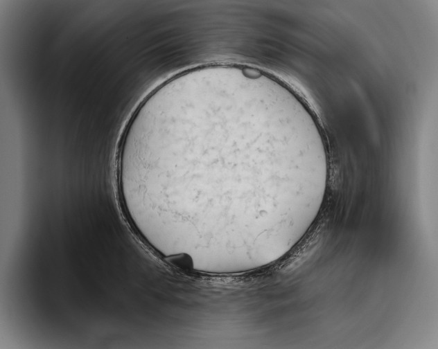 X0000093380903200711081542