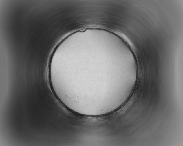 X0000093380910200711081542