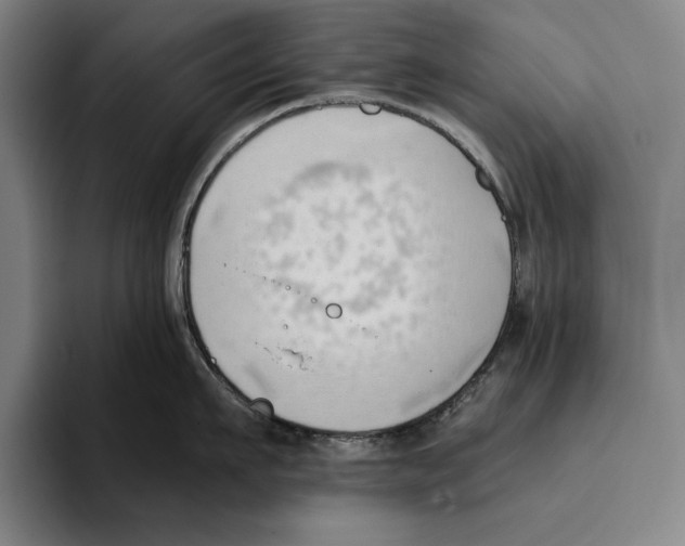 X0000093380911200711081542