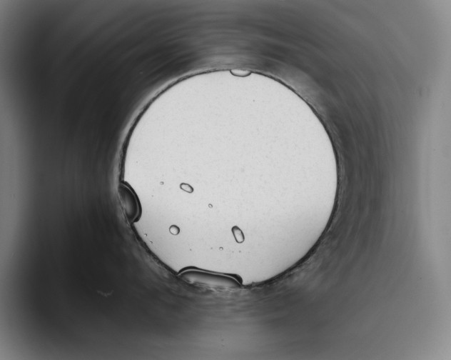 X0000093380912200711081542