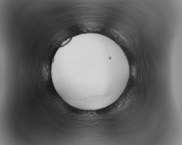 X0000093380915200711081542