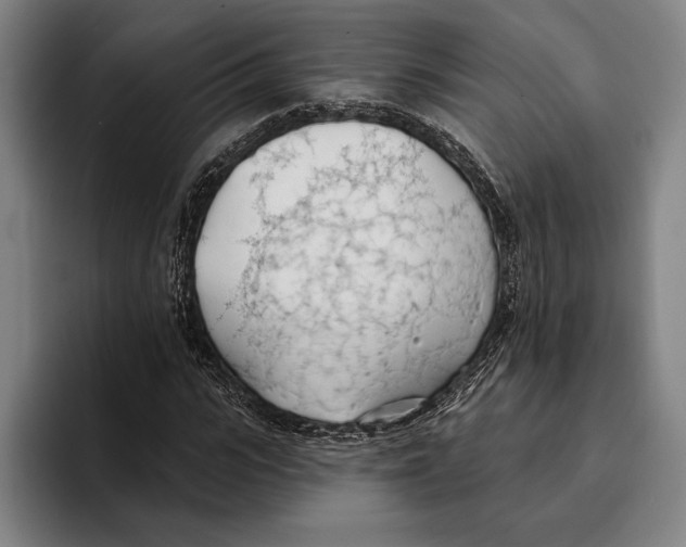 X0000093380919200711081542