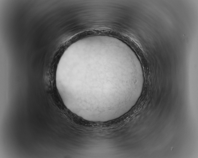 X0000093380920200711081542