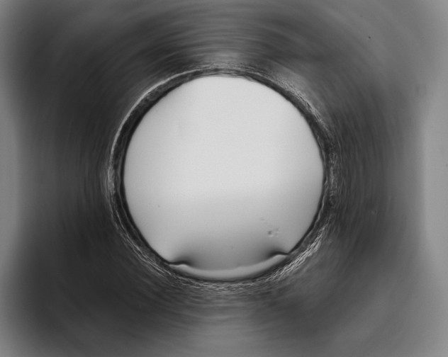 X0000093380924200711081542